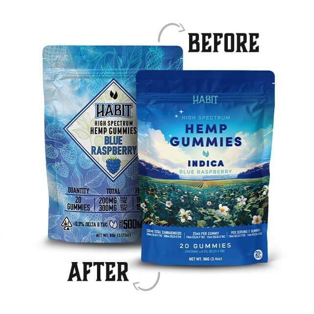 Delta 8 + Delta 9 Gummies - Blue Raspberry - Image 2